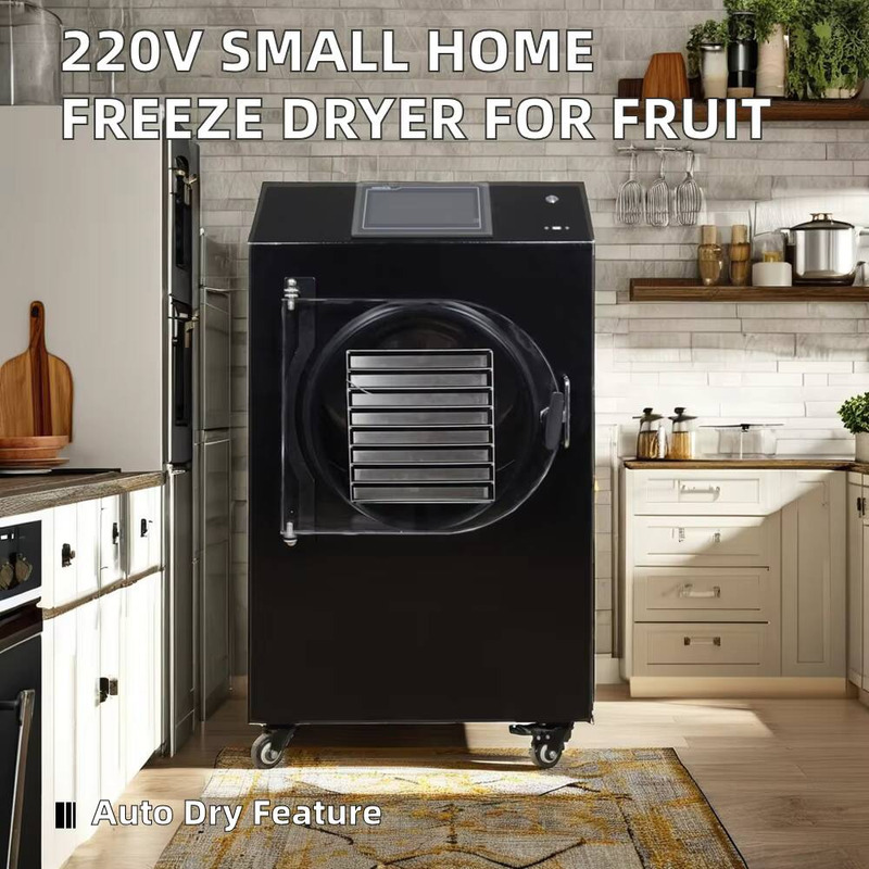 自動PLC制御乾燥機 食品加工用乾燥コーヒー果実凍結乾燥機 - Dried Fruit のレビューと価格